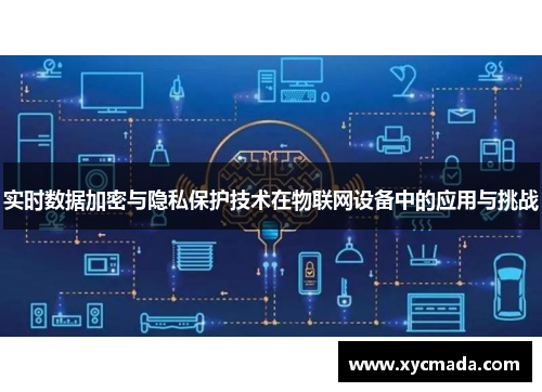 实时数据加密与隐私保护技术在物联网设备中的应用与挑战